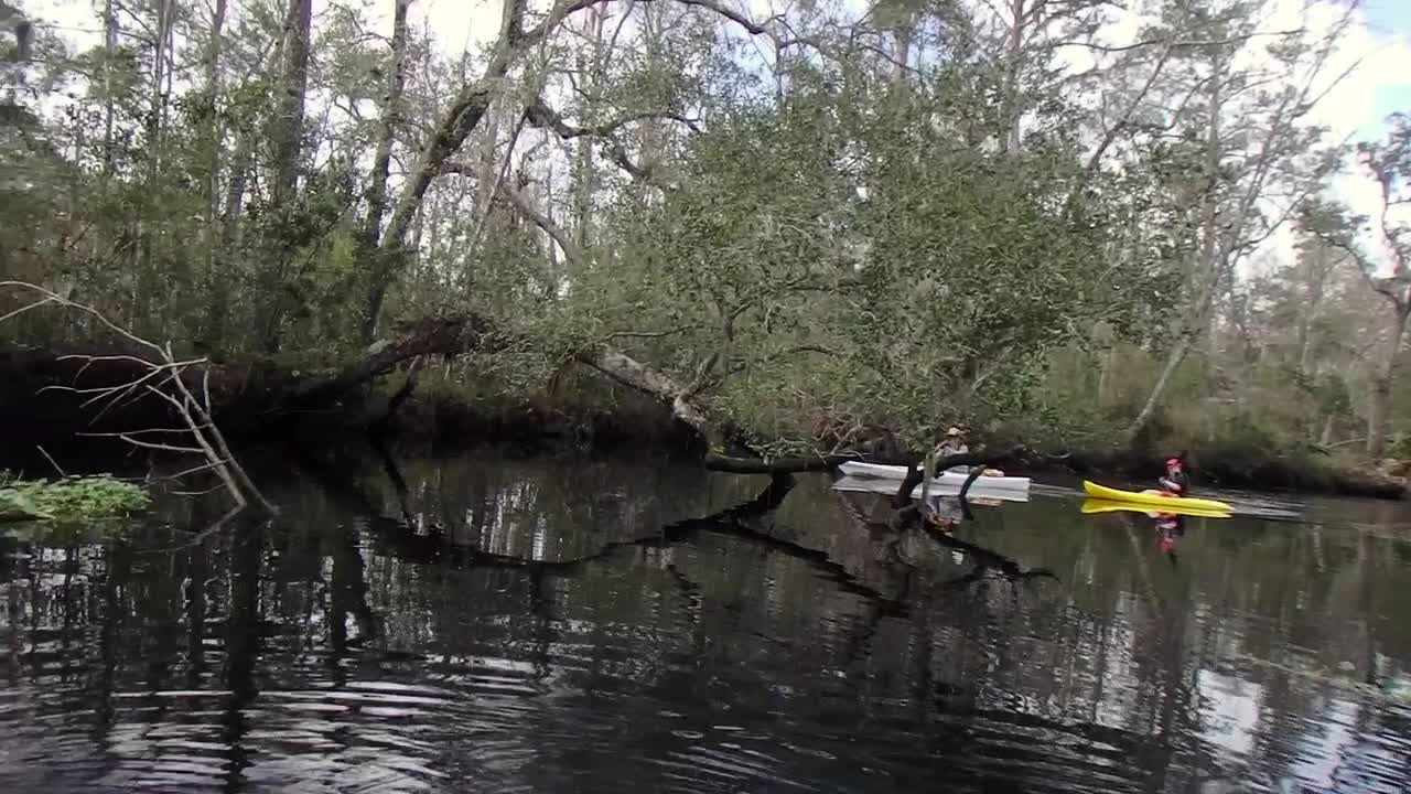 Kayaking Lanceford Creek