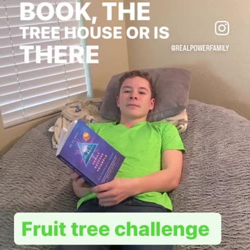 Ethan's Fruit Tree Challenge