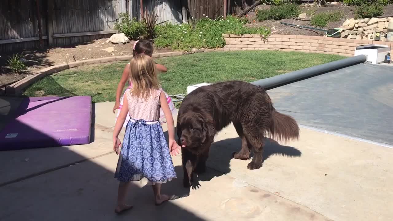 Kids have interesting discussion about dog kisses