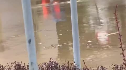 Jest naprawdę źle, na filmie Prudnik, 12:00, nie wszystko pokazują w telewizji i