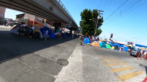 Biden's Border Disaster in Tijuana 🚸