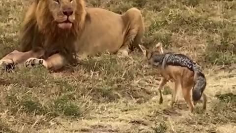 Nature is beautiful & brutal
