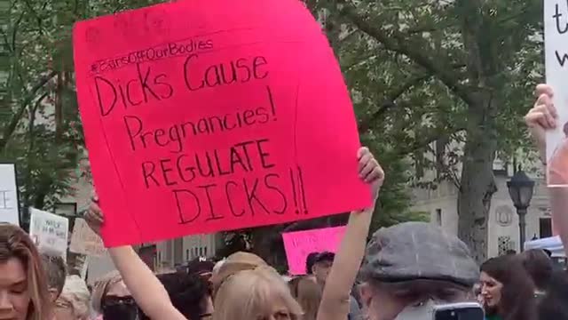 Roe v Wade: liberal protester seeking the regulation of 'Dicks'...
