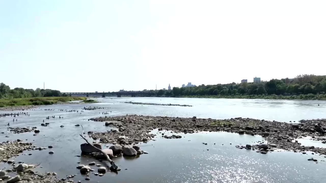 Poland's Vistula river drops to record low levels