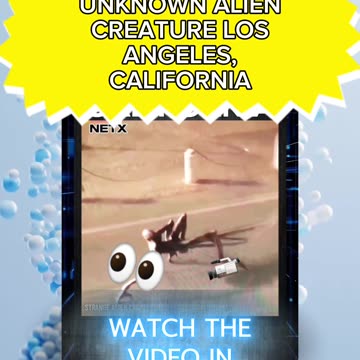 alien creature roaming the streets