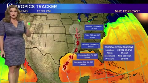 Tropical Storm Francine's impact on Chicagoland