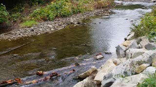 Calming Creek