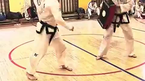 Taekwondo