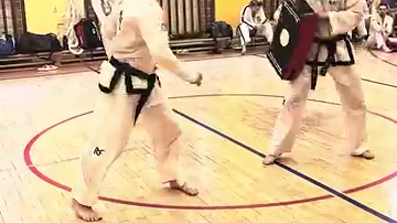 Taekwondo