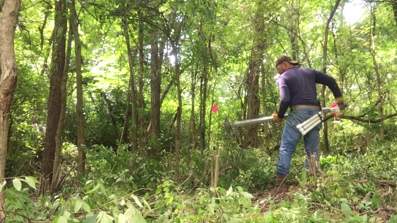 Invasive Bush-honeysuckle: Mechanical Removal (pt. 3) - Pulling the Shrub Stub