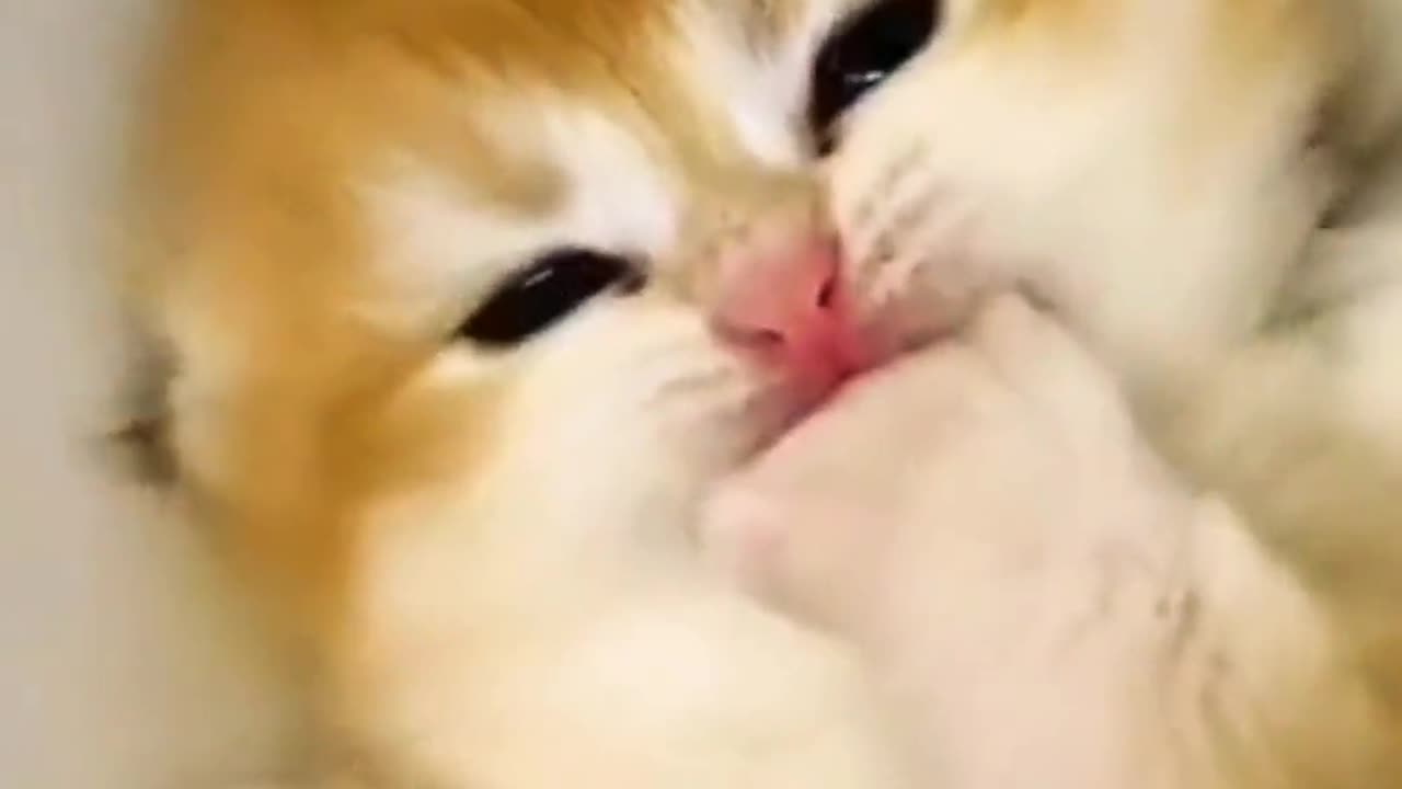 So cute