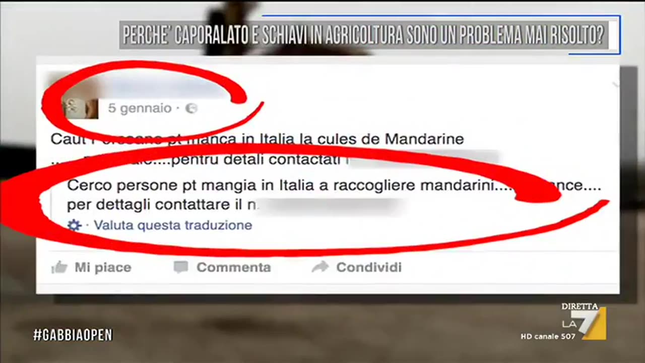 Perchè il caporalato e gli schiavi in agricoltura sono un problema mai risolto DOCUMENTARIO Quello del caporalato e dello sfruttamento in agricoltura dei lavoratori spesso stranieri è un fenomeno drammaticamente diffuso in MERDALIA💩