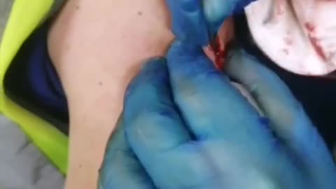 What the hell is this?