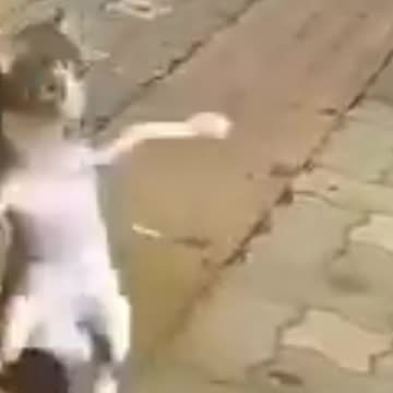 اووووووه سطلانه