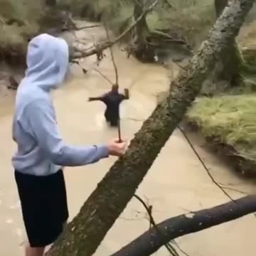 Well, well, almost got it!