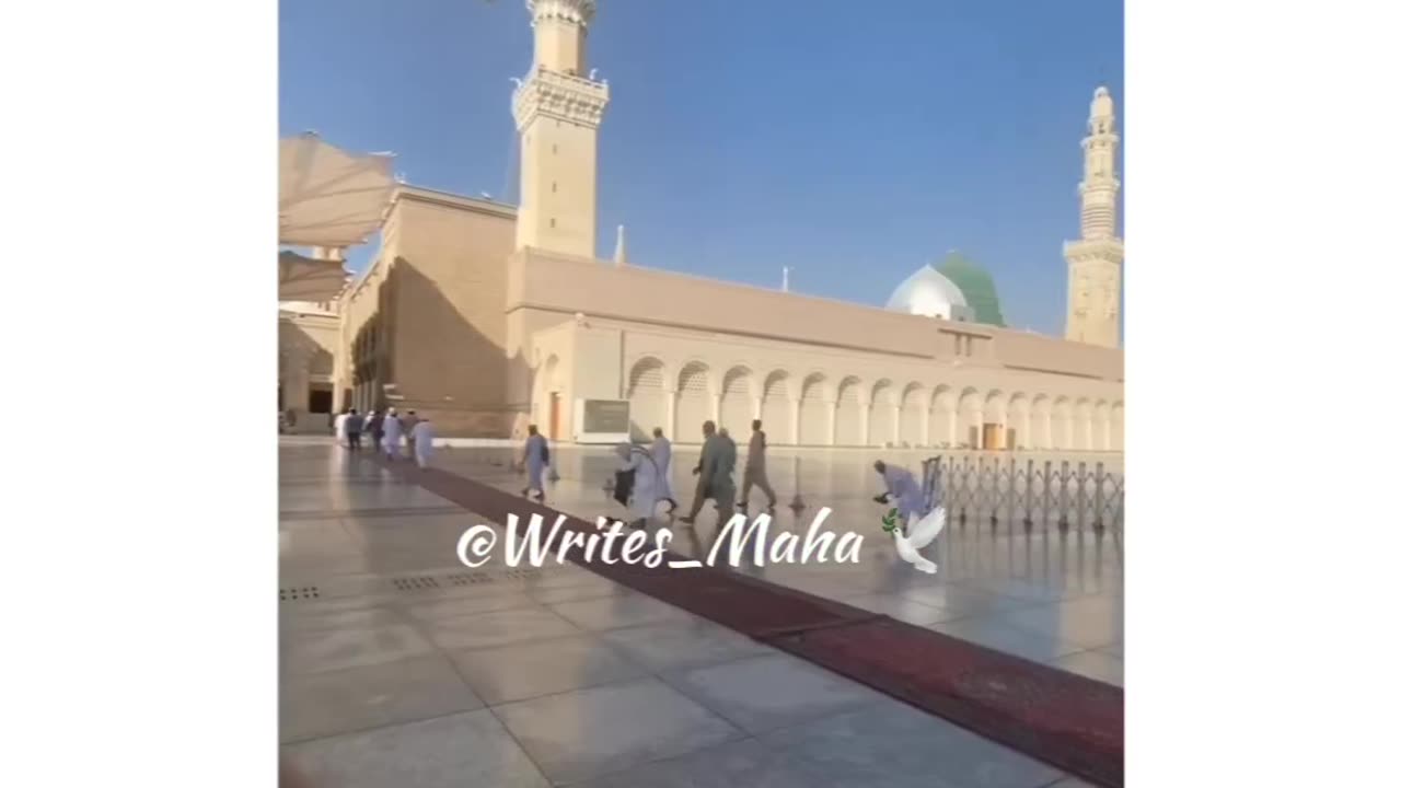 Best Islamic video status