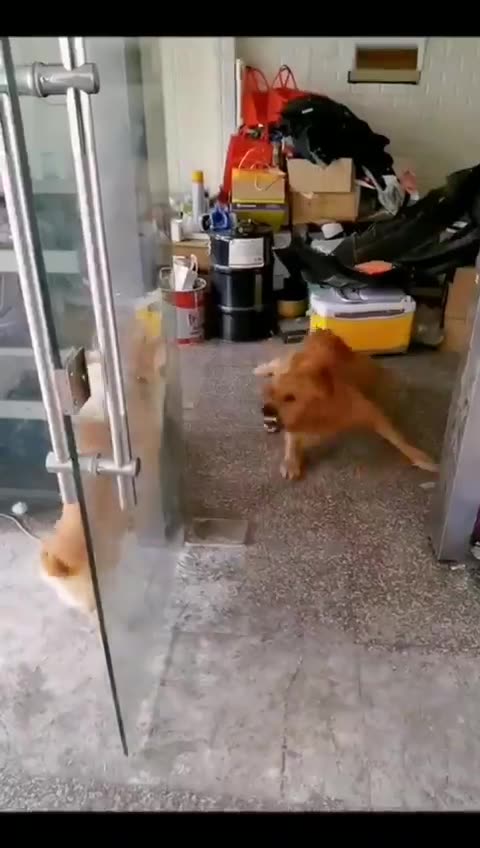 ALL political arguments these days. TOO FUNNY!!!