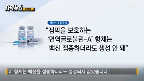 [보관용] 20210202_[자막뉴스] '코로나19 회복자, 백신 접종자보다...' 의외의 연구 결과 _ YTN