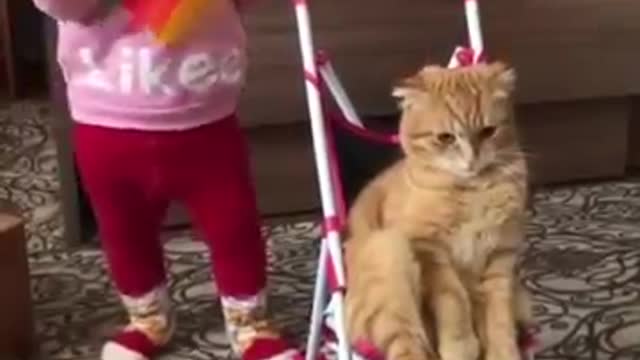 Cat is showing her hidden talent to a baby AWW Soo Cute Pet Animals Viral Funny Faip Clips #shorts Video || #trending #animals #funny #reels😀🤣😂