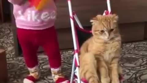 Cat is showing her hidden talent to a baby AWW Soo Cute Pet Animals Viral Funny Faip Clips #shorts Video || #trending #animals #funny #reels😀🤣😂