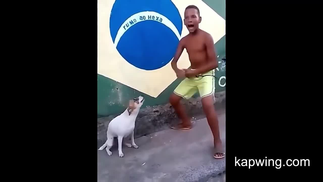 Dog dacing and singing