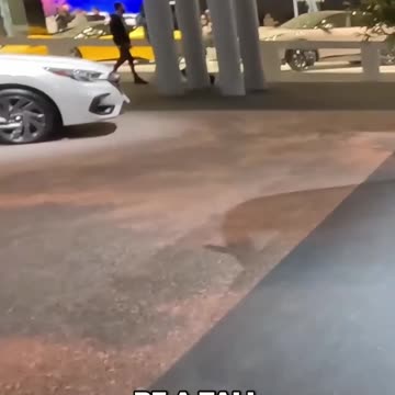 Taking a Closer Look at the 2024 Forester: The Evolution of Subaru's Safe and Stylish SUV