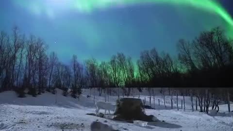 Northern Lights in Norway