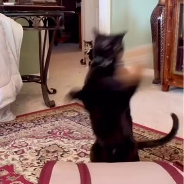 I totally nailed that landing! Just sayin!⁣ ⁣