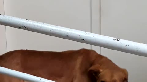 #without mask does not answer