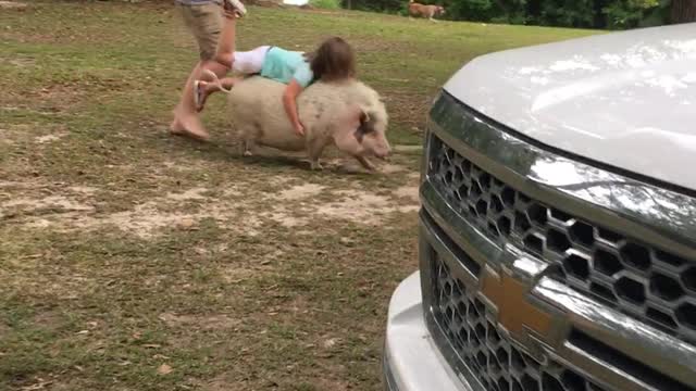 Tammy Cumbest on TikTok - #pig#piggyback#family#countrygirl#comedy#FYP