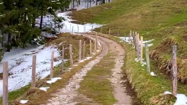 You Can't Stop Nature.