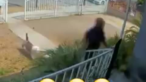 pero