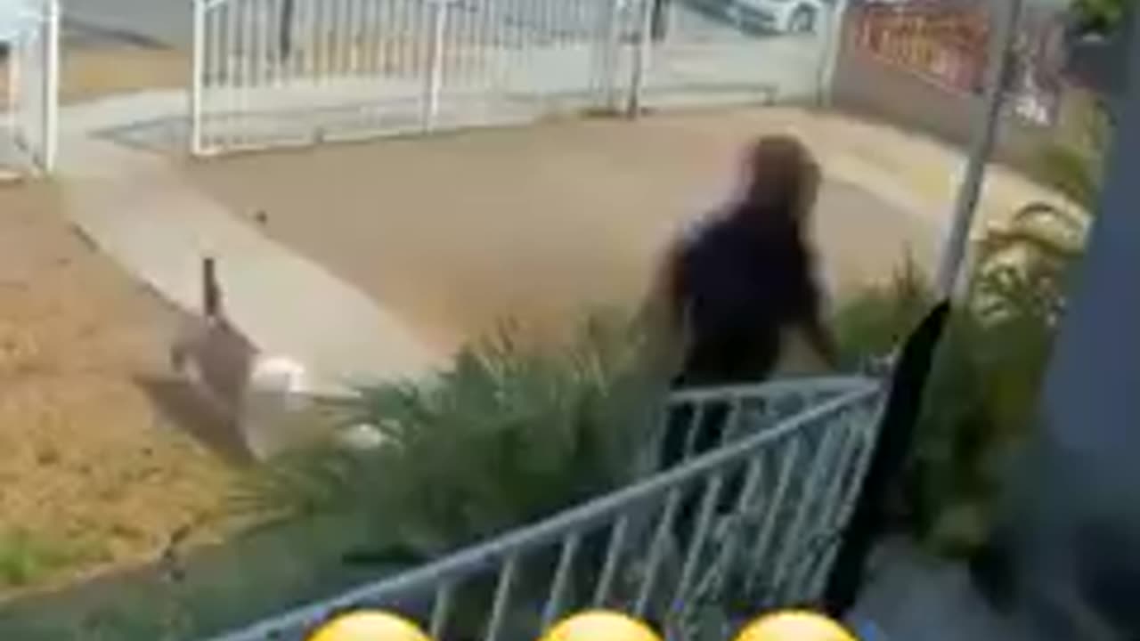 pero