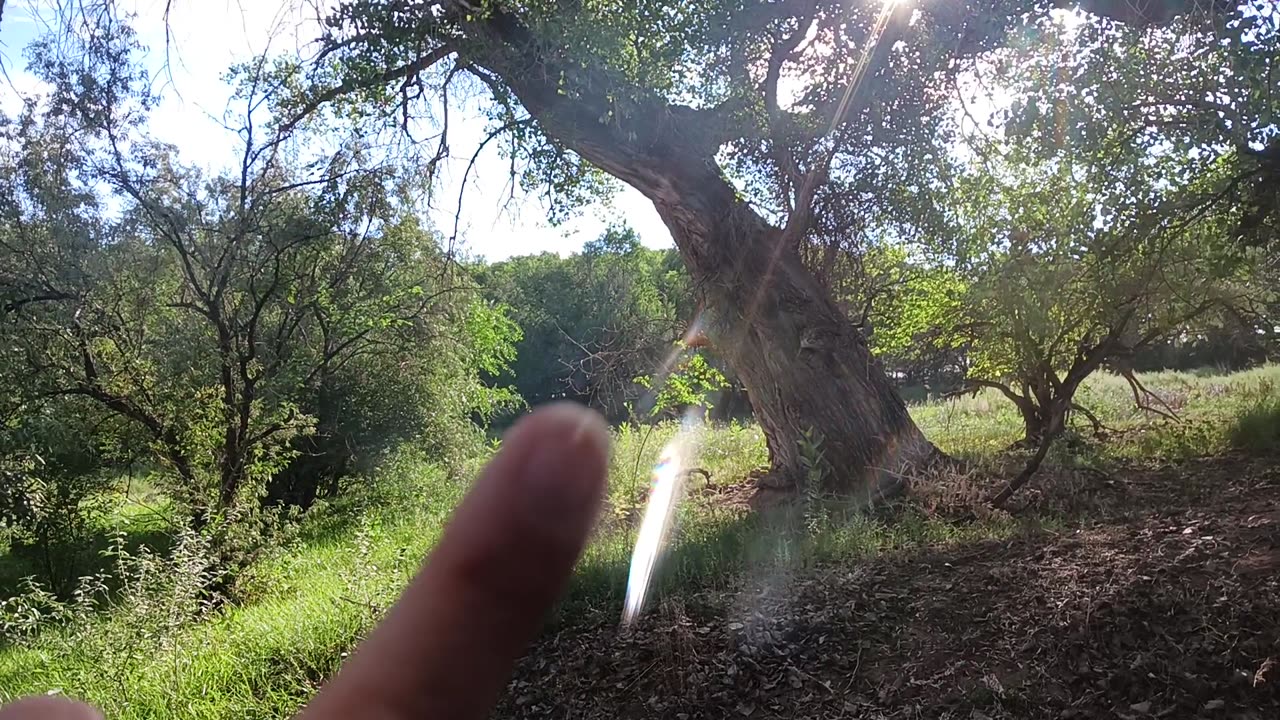 Tour Part 2 - The Creek