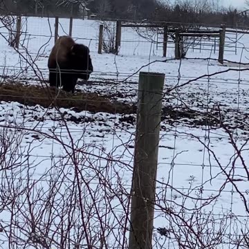 WHAT DID WE COME ACROSS?