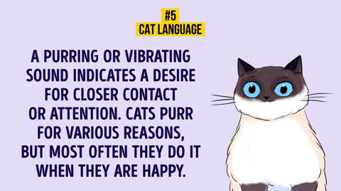 How to understand your cat better, 5 ways to make freinds with your cat!!