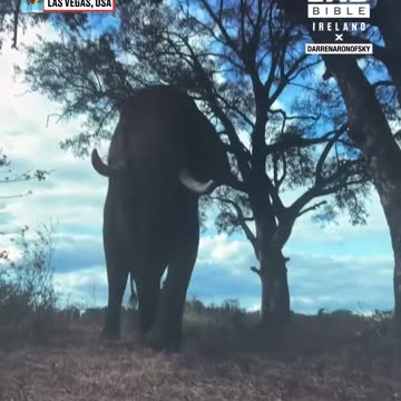 Largest Screen On The Planet