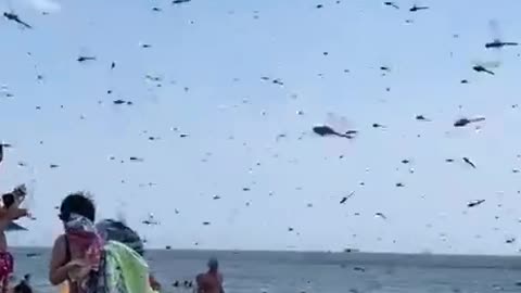 👀 Supersized Dragon Flies swarm Misquamicut Beach in Rhode Island