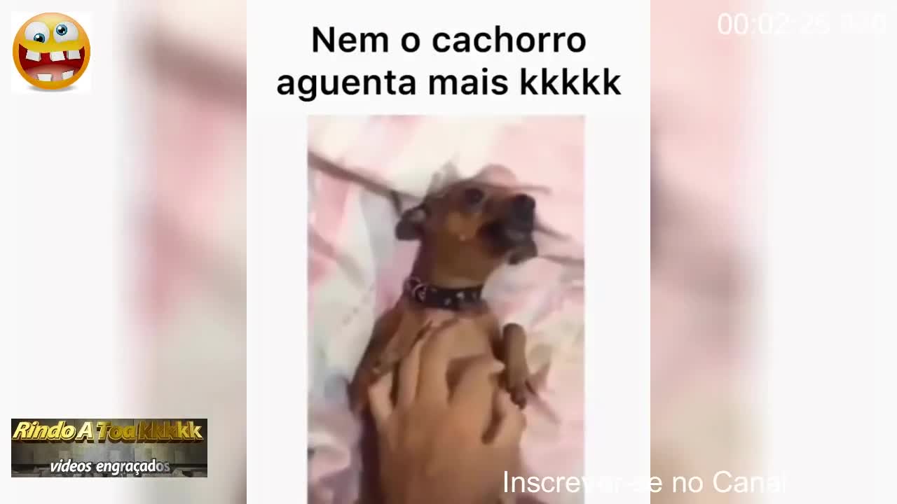 Mais engraçado do ano