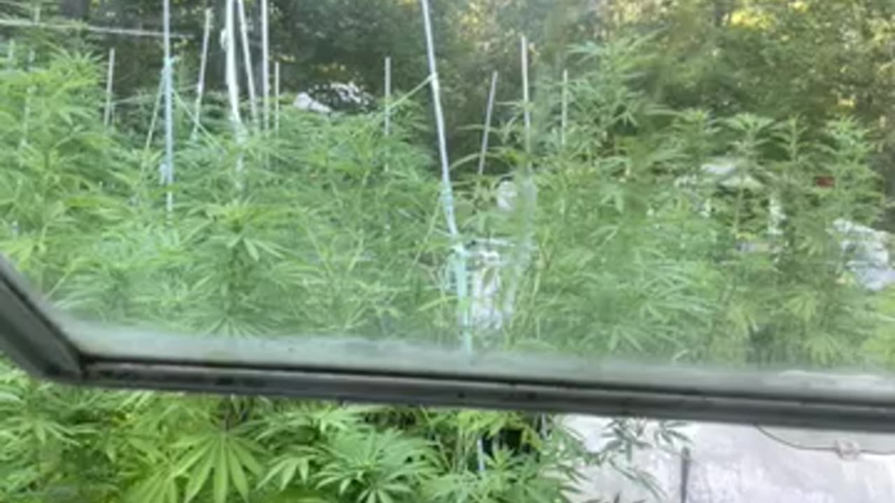 United Kingdom 🇬🇧 arrests Facebook hate speech citizens by Derek Hunter p finis