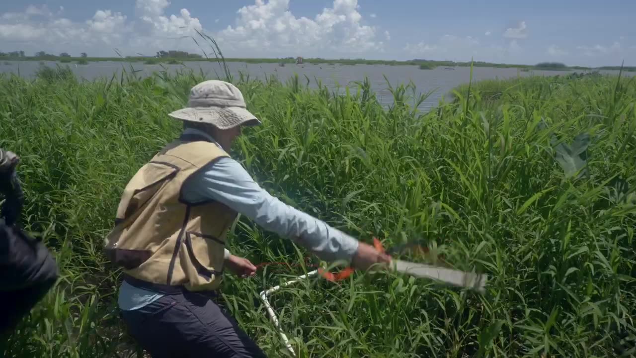 Earth Science Satellite Will Help Communities Plan for a Better Future