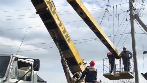 Helping to rebuild a stork's nest after it burns down