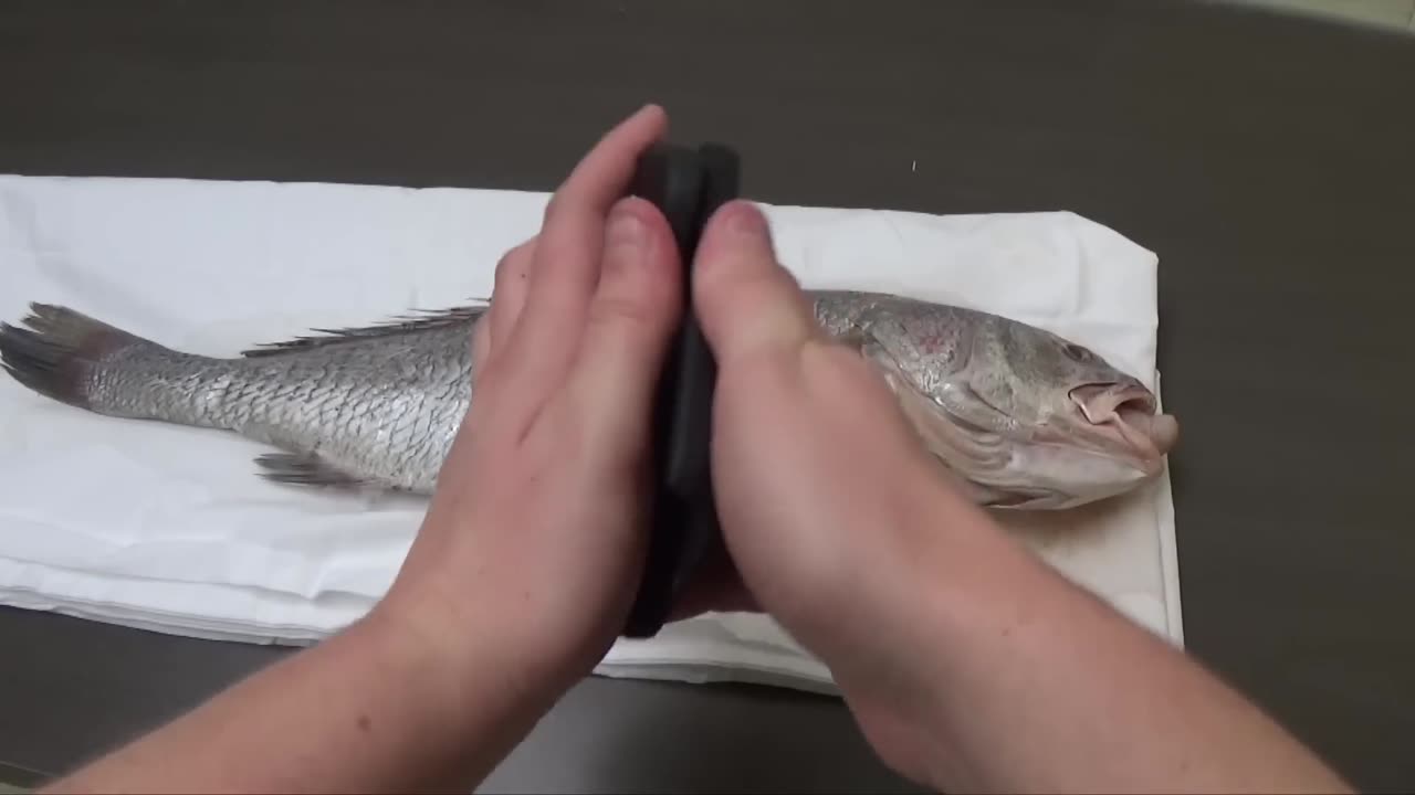 How To Revive a Fish