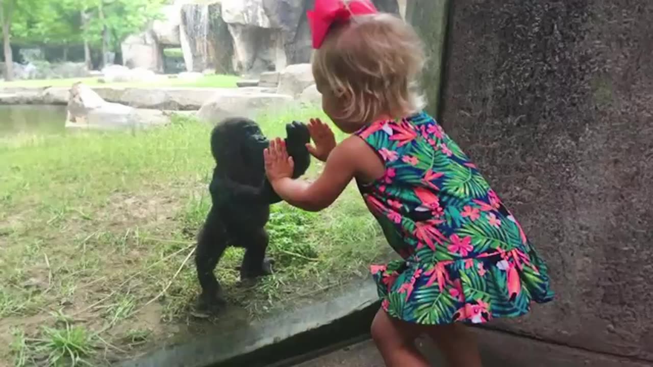 Little Friends Have Adorable Encounters With Animals At The Zoo