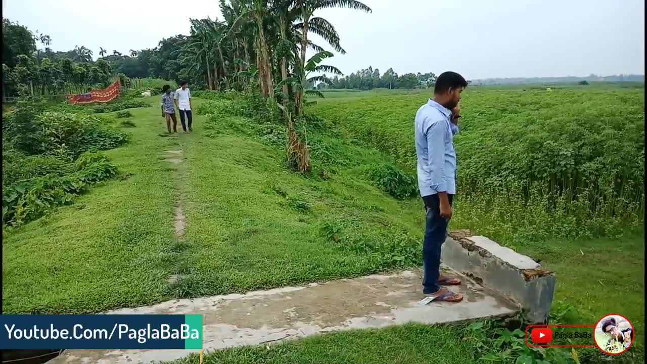 Top New Comedy Video | Try Not To Laugh