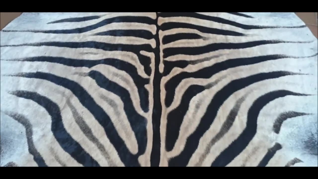 Gorgeous Zebra skin hide rug carpet