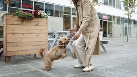 Beautiful moment of owner with a beautiful dog.