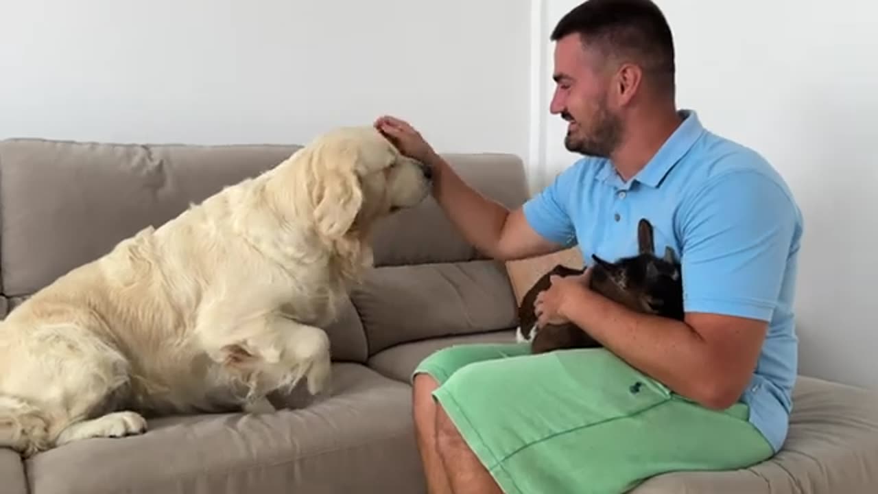 My Dog Meets Baby Goat for the First Time