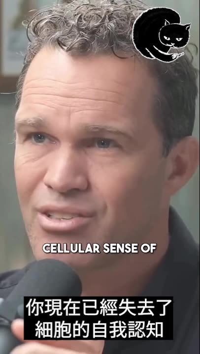 布洛芬止痛藥的問題