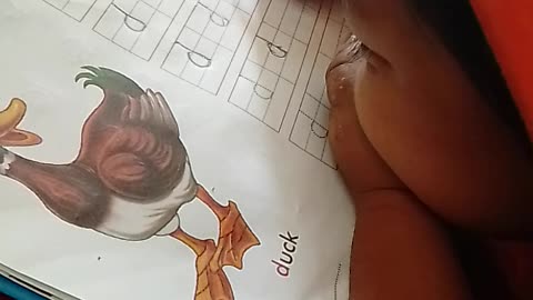 Daryl homework
